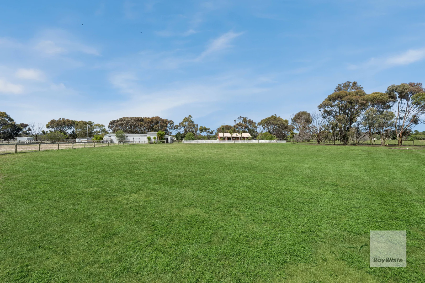 Image 20