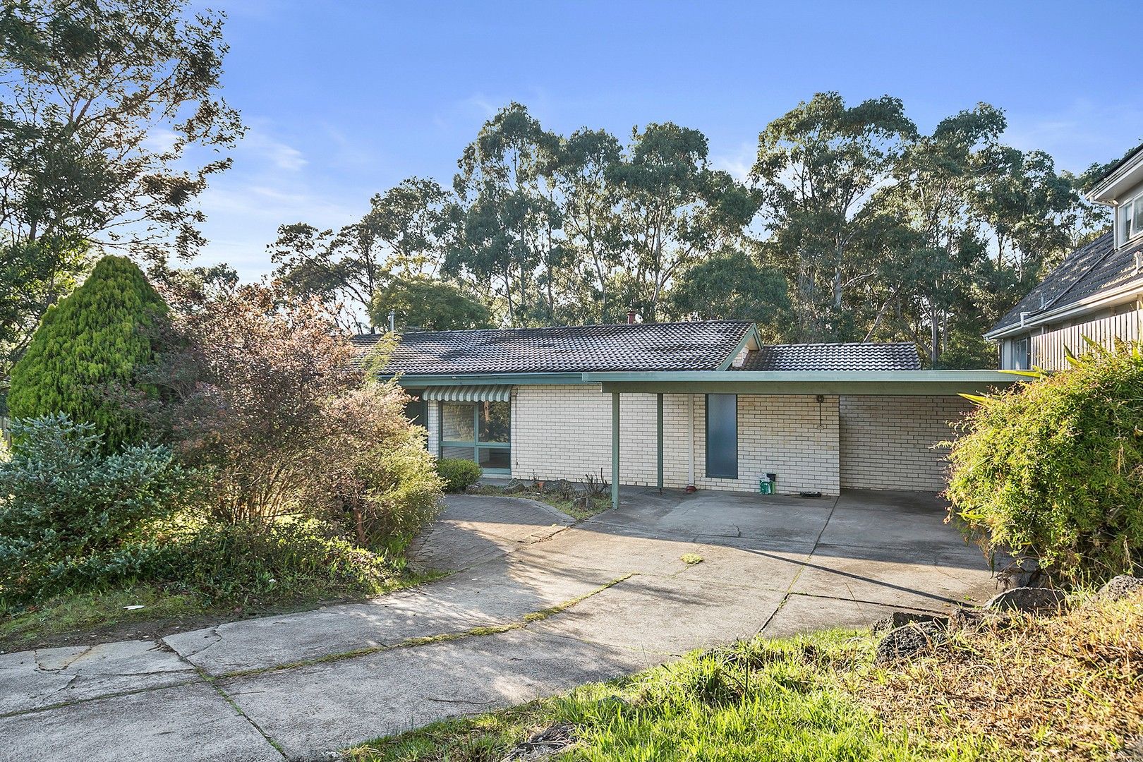 10 Wedge Court, Glen Waverley VIC 3150 House For Rent Domain