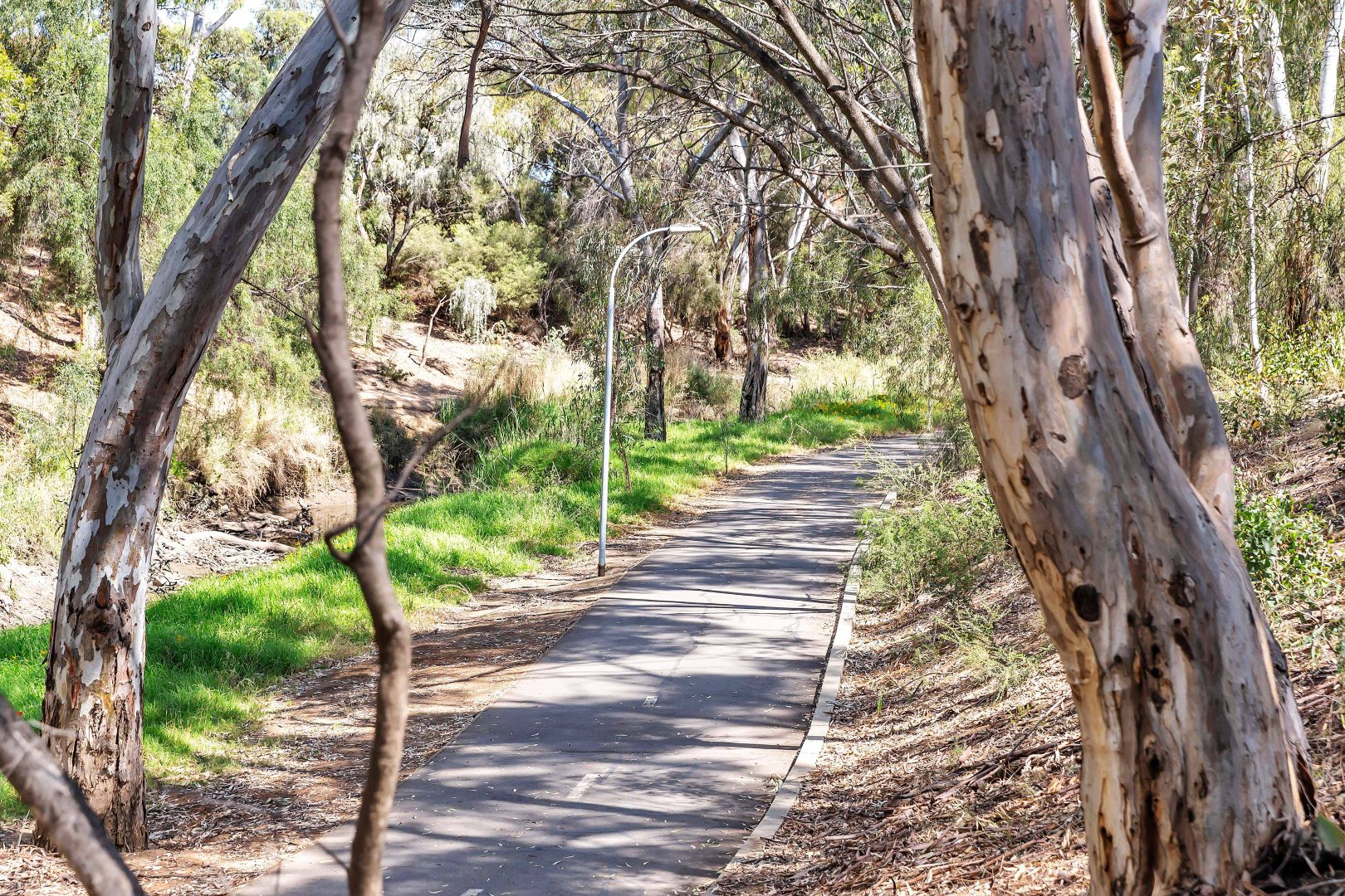 6a Simmons Crescent, Flinders Park SA 5025, Image 2