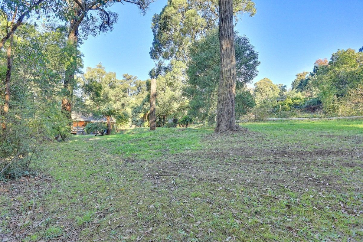 12 Ferngully Road, Cockatoo VIC 3781, Image 1