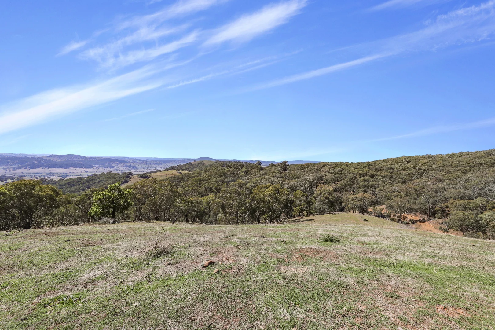 Additional image 9 of Part 1169 Grahamstown Road, Adelong NSW 2729
