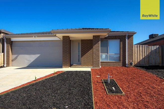 Picture of 55 Albanvale Drive, ALBANVALE VIC 3021