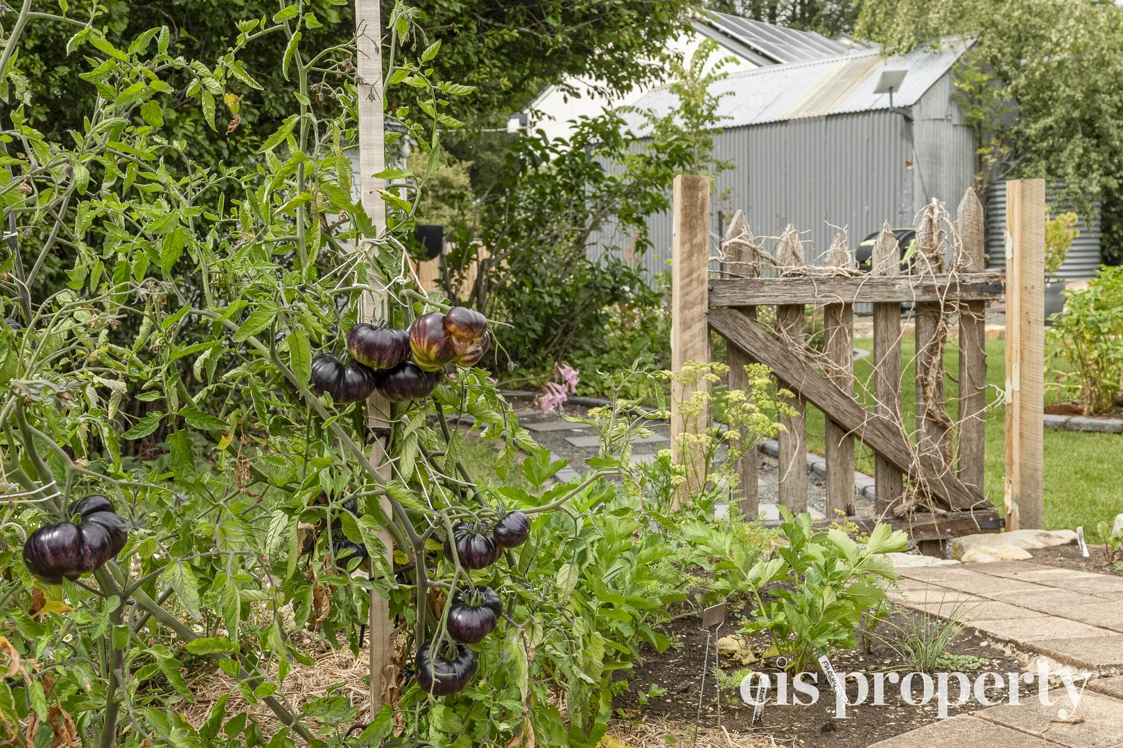 Additional image 29 of 12 Church Street, Ross TAS 7209