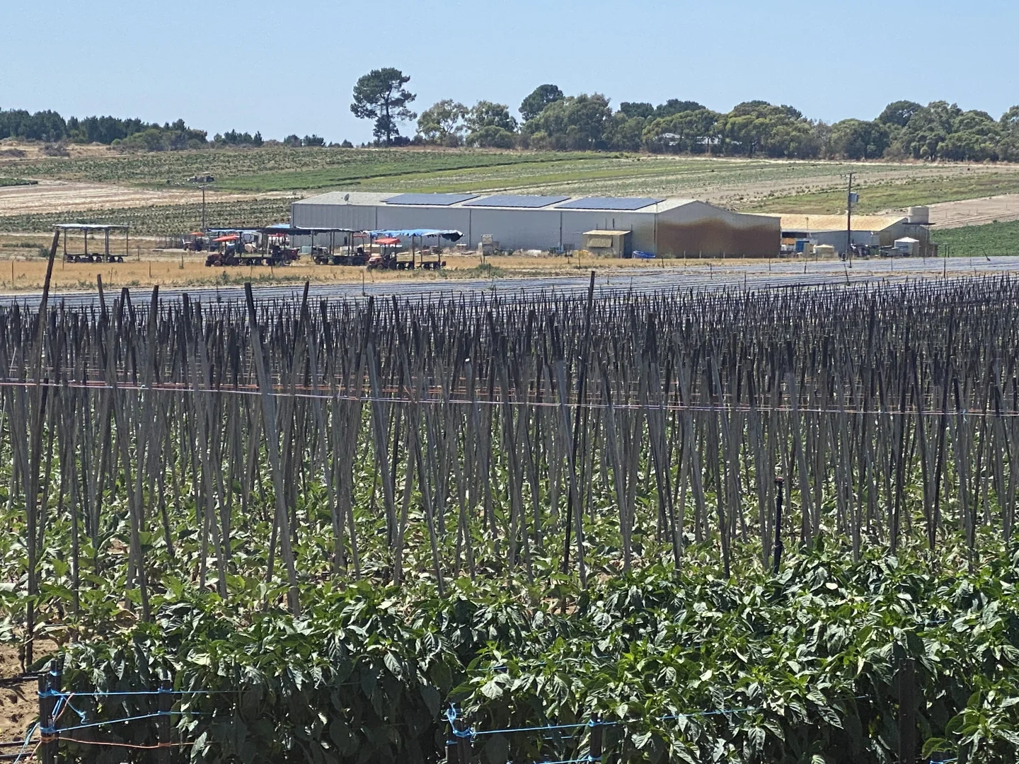 Additional image 3 of 440 Old Yanchep Road, Carabooda WA 6033