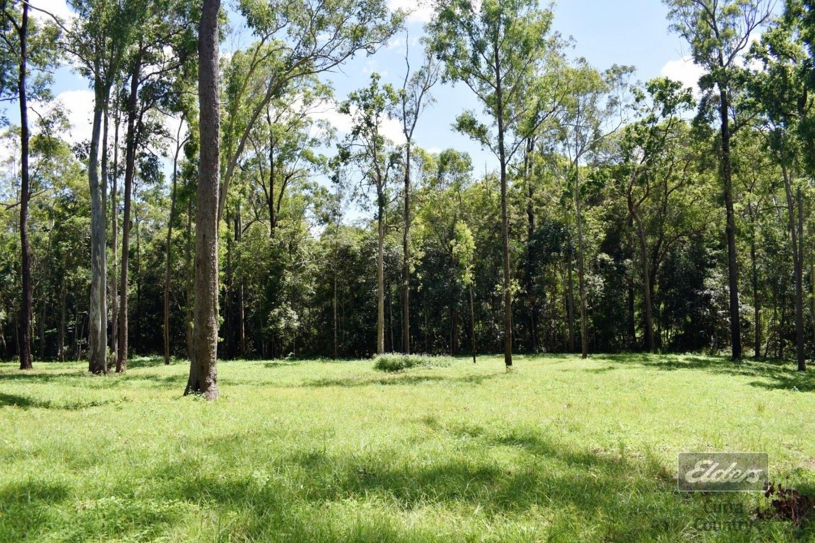 Lot 246 Faine Road, Bauple QLD 4650, Image 0