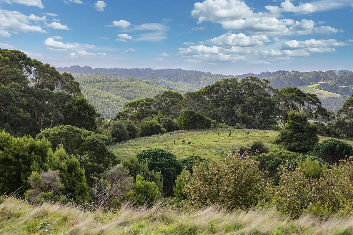 Additional image 16 of 110 Staffords Road, Johanna VIC 3238