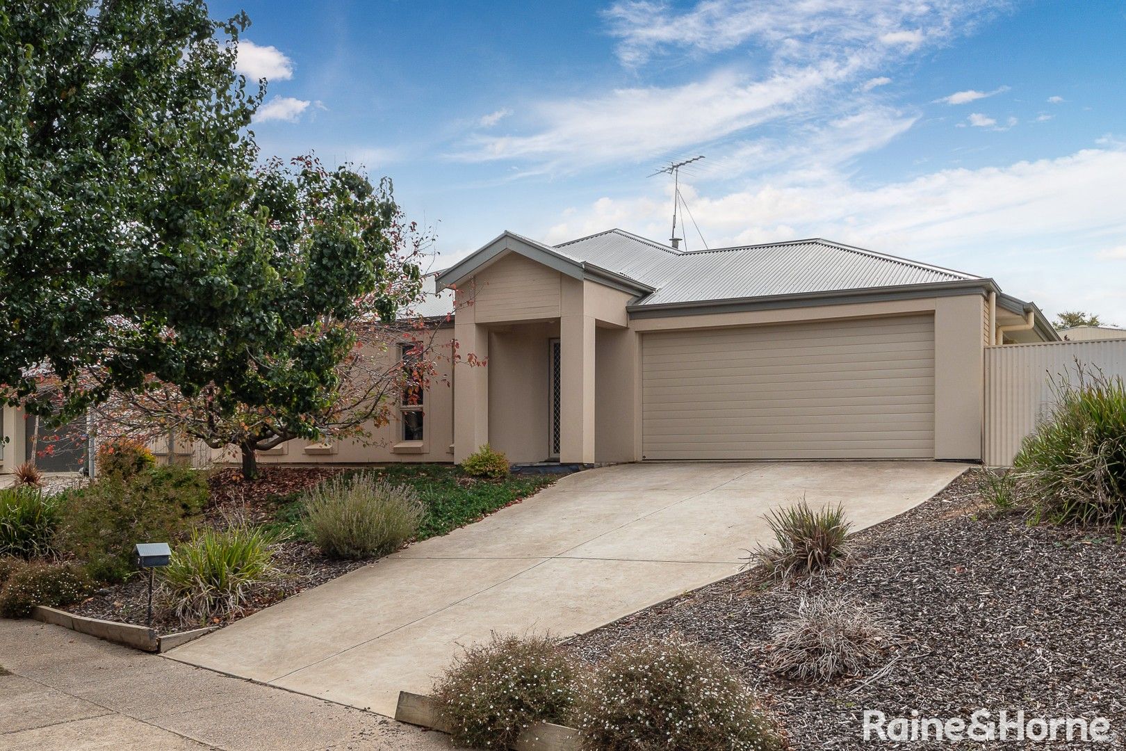 7 Dundee Close, Strathalbyn SA 5255, Image 0