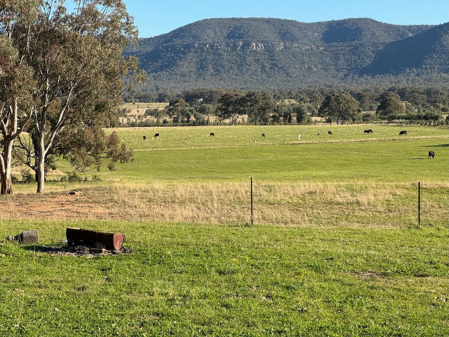 Image 35