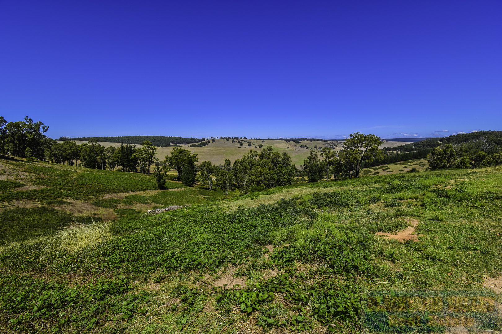 Lot 488 Riverview Close, Bridgetown WA 6255, Image 2