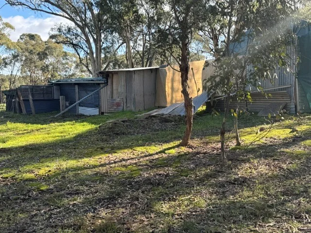 Image 13