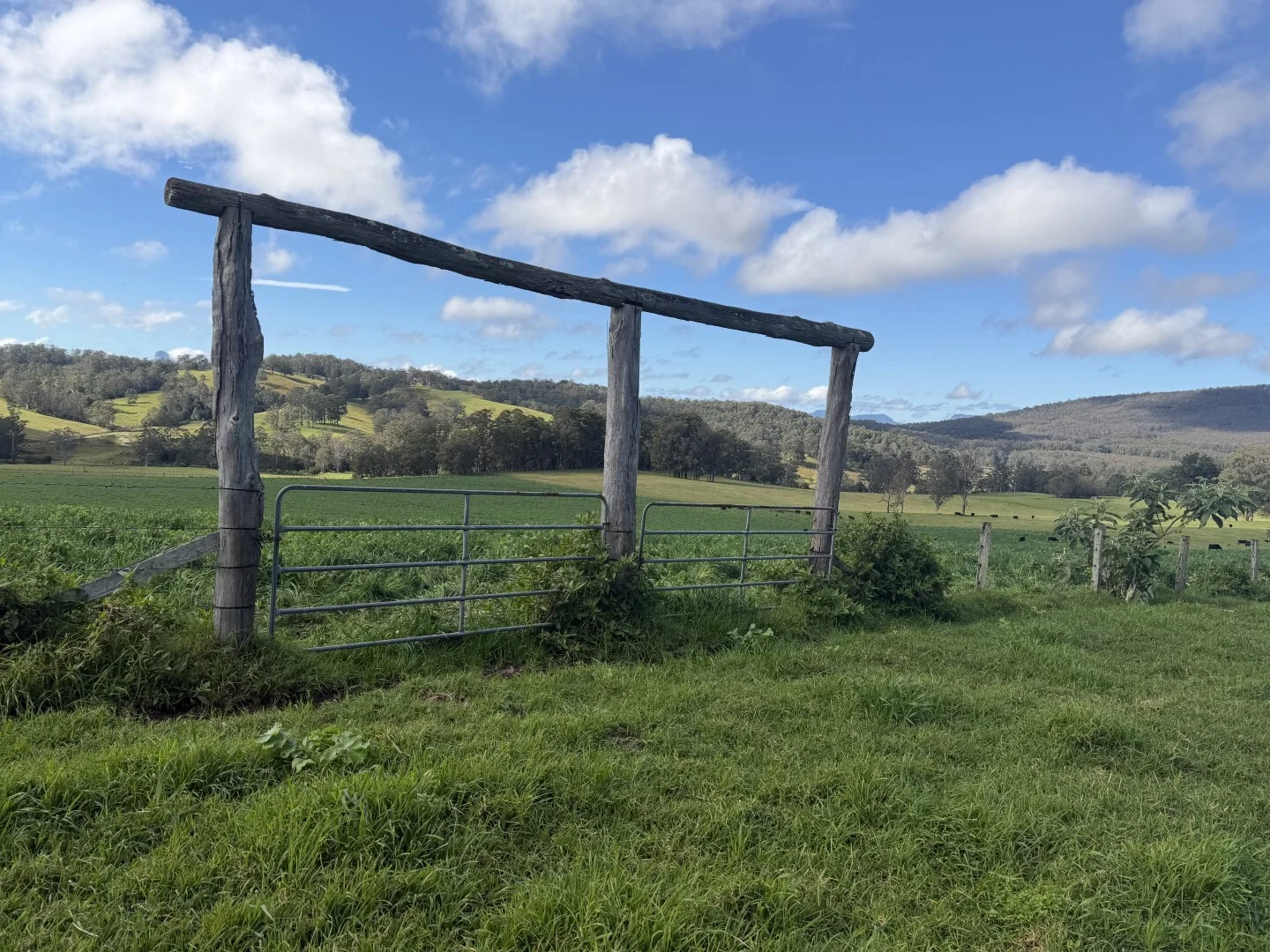 Woodenbong NSW 2476 photo 5