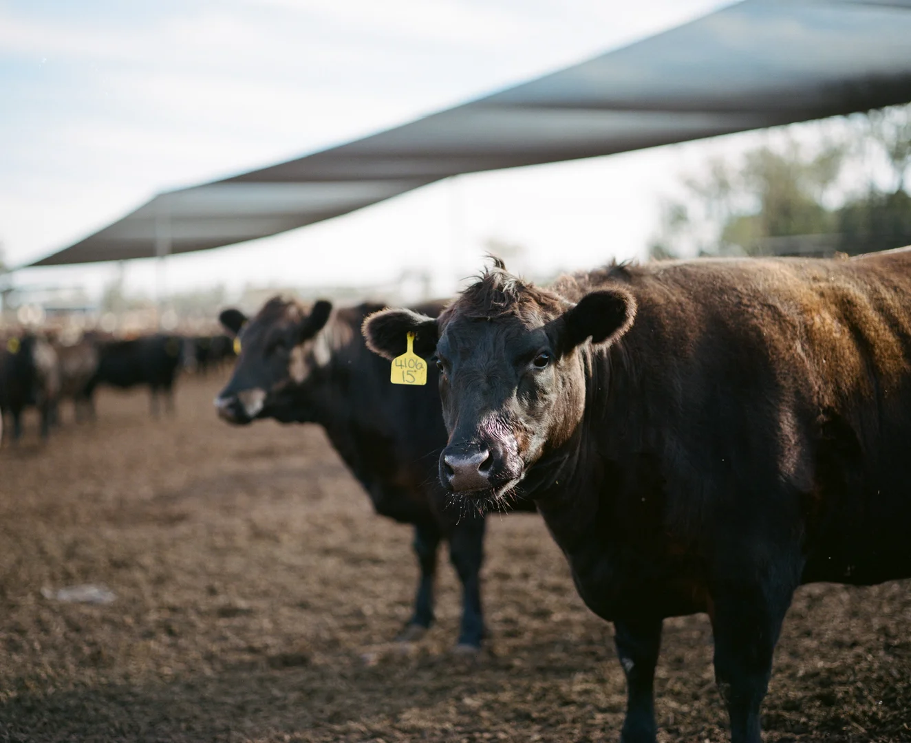 Additional image 5 of Proston QLD 4613