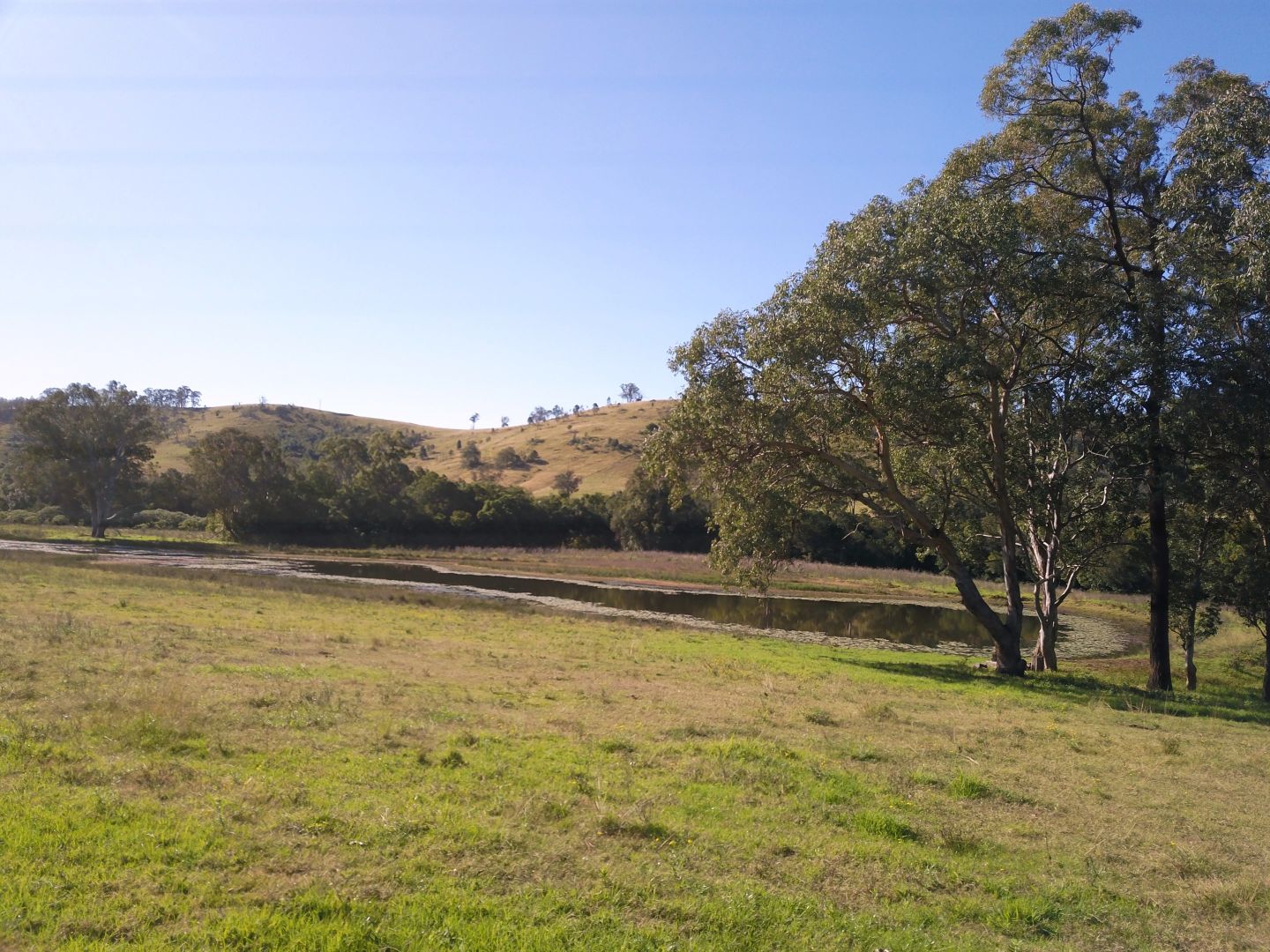 Lot 14/450 Chichester Dam Road, Dungog NSW 2420, Image 1