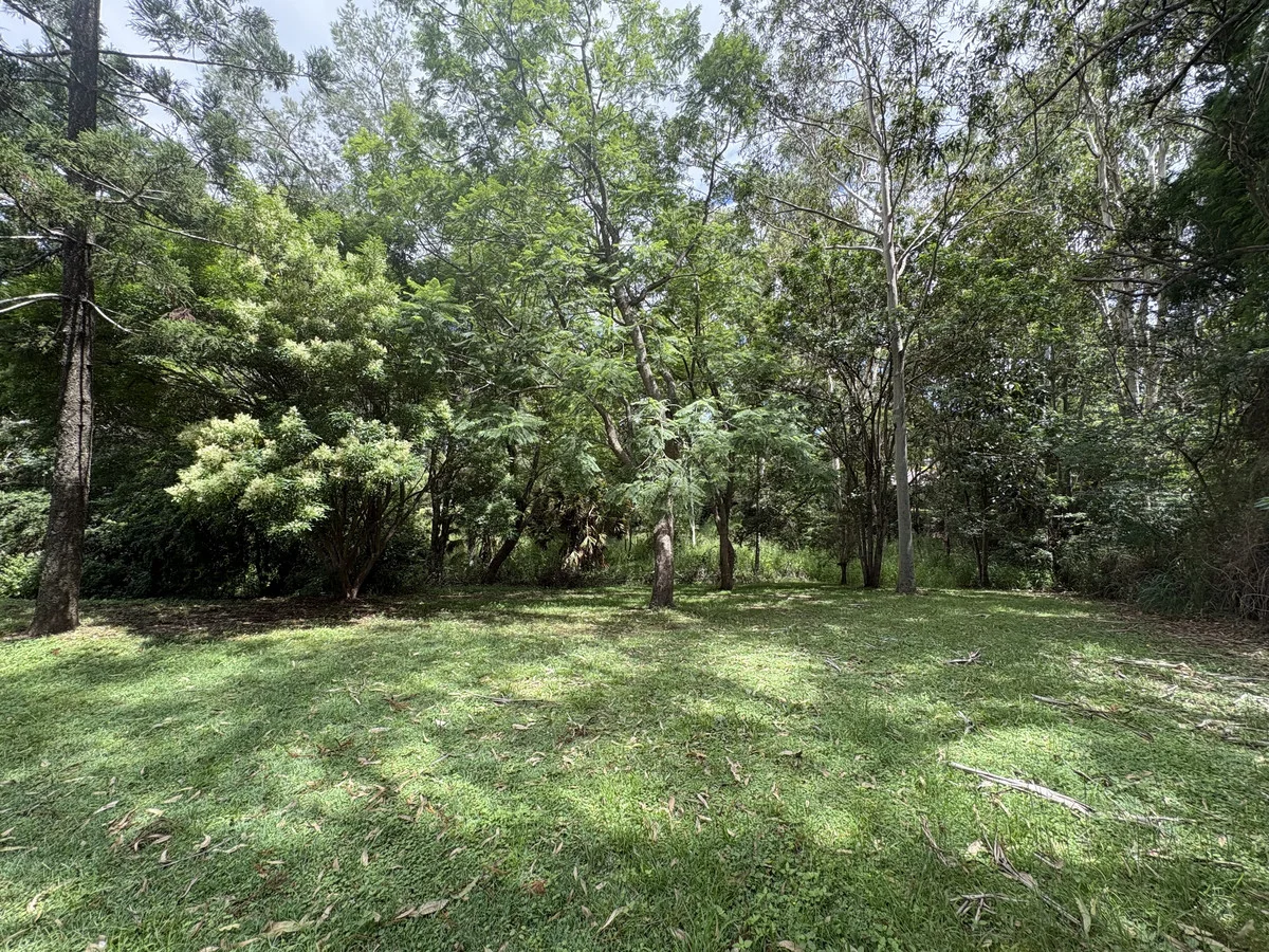 Image 13