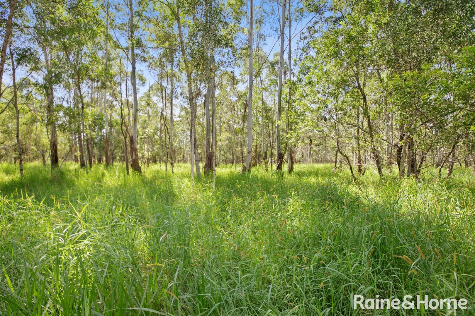 32 Cootharaba Downs Road, Cootharaba QLD 4565, Image 0