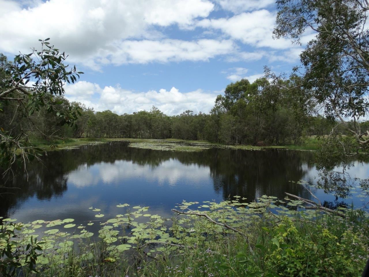 Lot 80 Kiora Road, Miriam Vale QLD 4677, Image 2