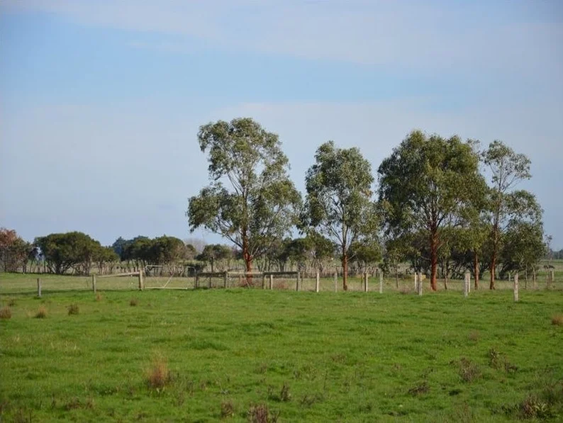Additional image 11 of 2160 Bass Highway, Bass VIC 3991