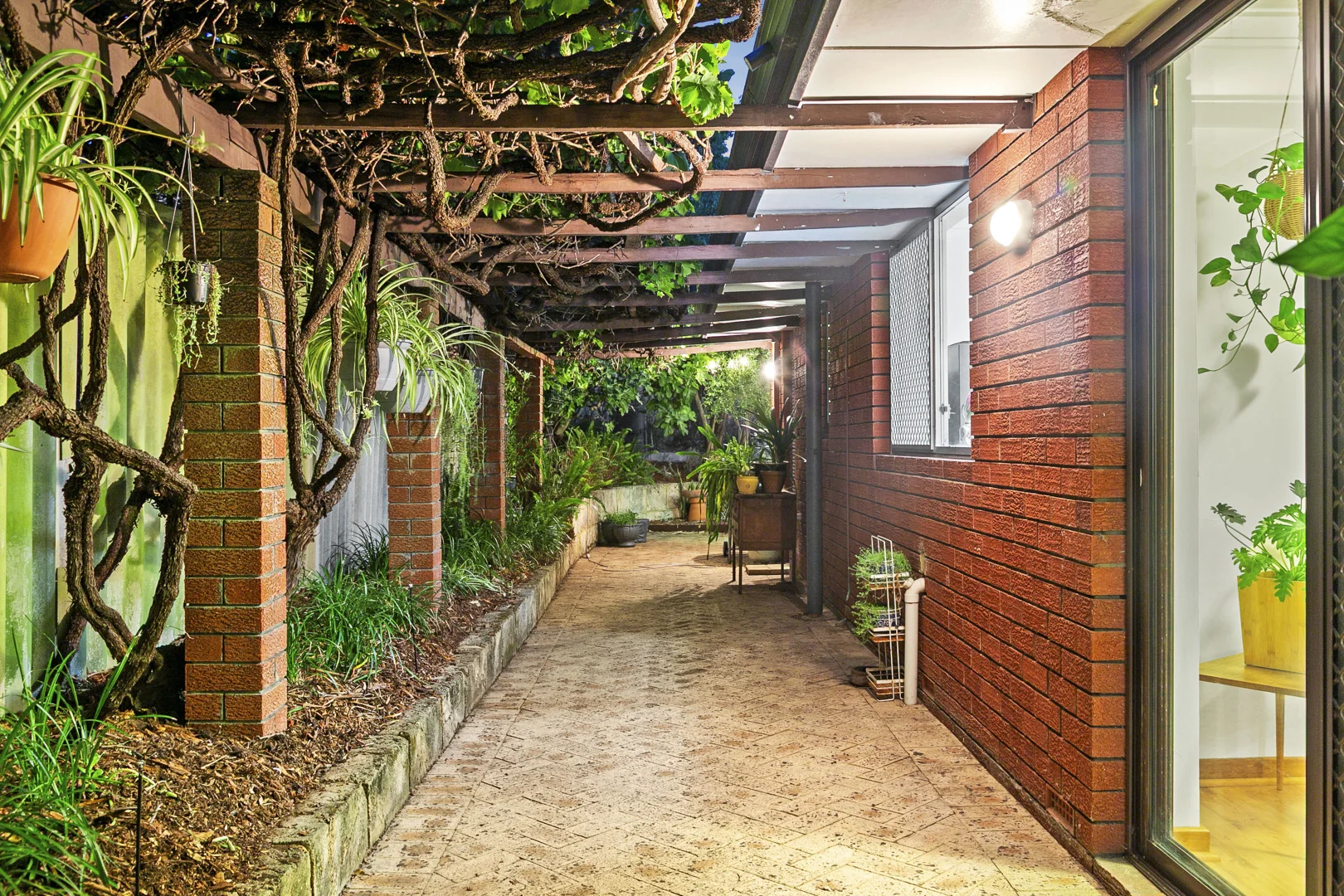 Image 19