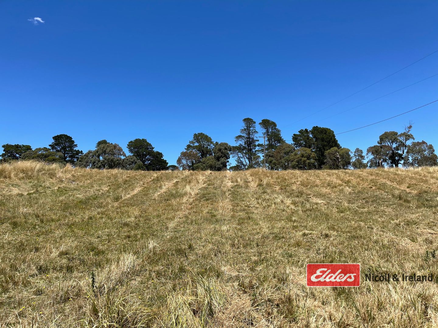 Lot 1 Pascoe Street, Neville NSW 2799, Image 2