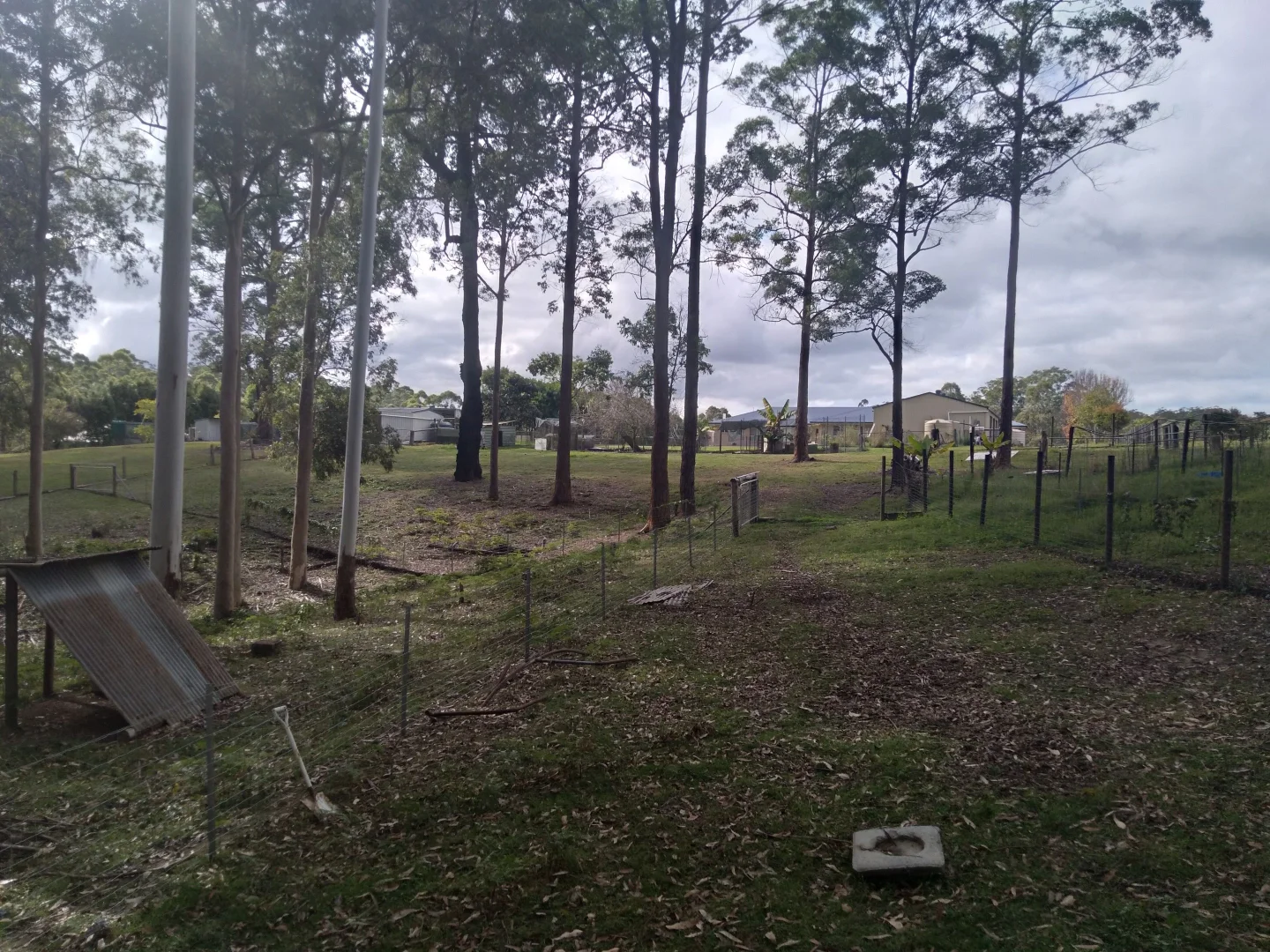 Image 22