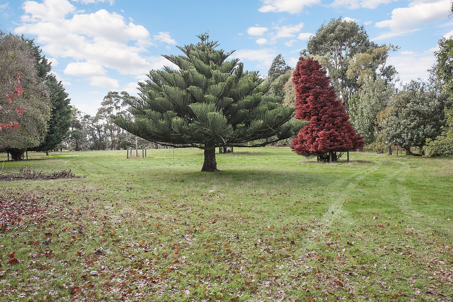 87 Rodger Place, Bushfield VIC 3281, Image 1