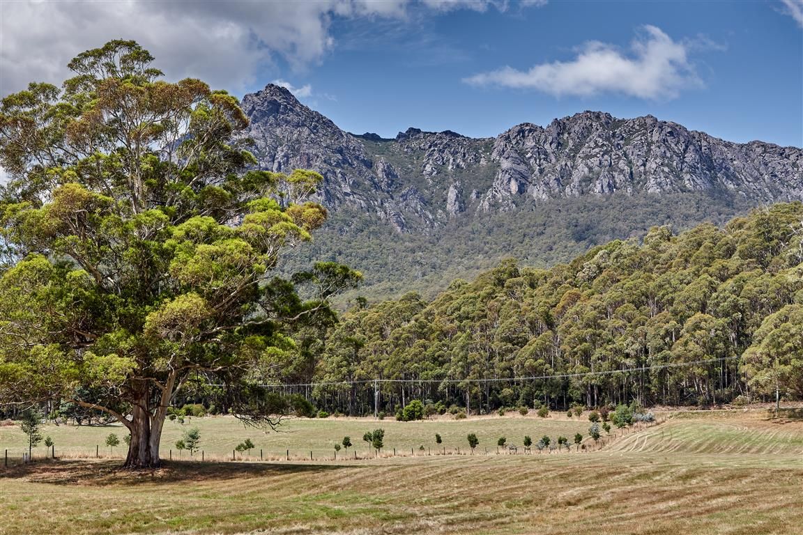 Lot 5 1350 Claude Road, Gowrie Park TAS 7306, Image 0