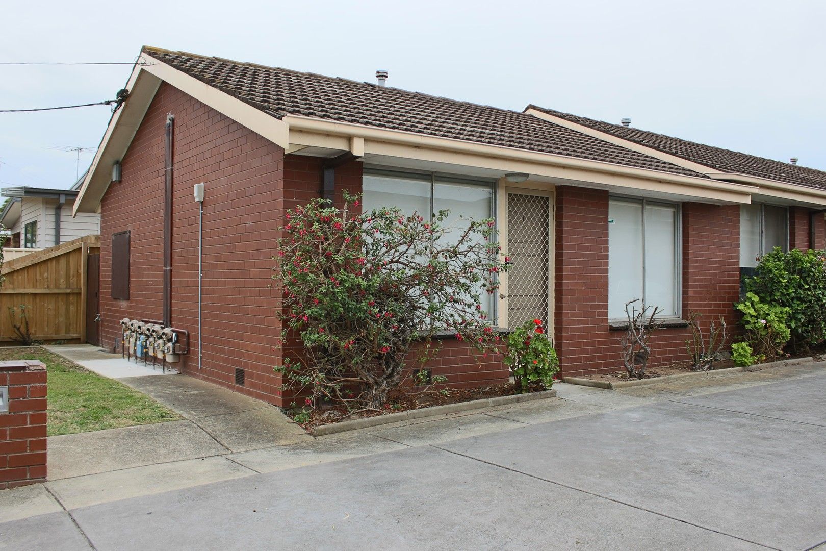 1/33 Rix Street, Herne Hill VIC 3218 Apartment For Rent 290 Domain