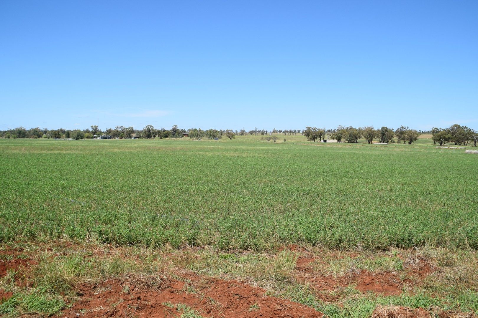 'Whitewood Acres' Whitewood Road, Dubbo NSW 2830, Image 2