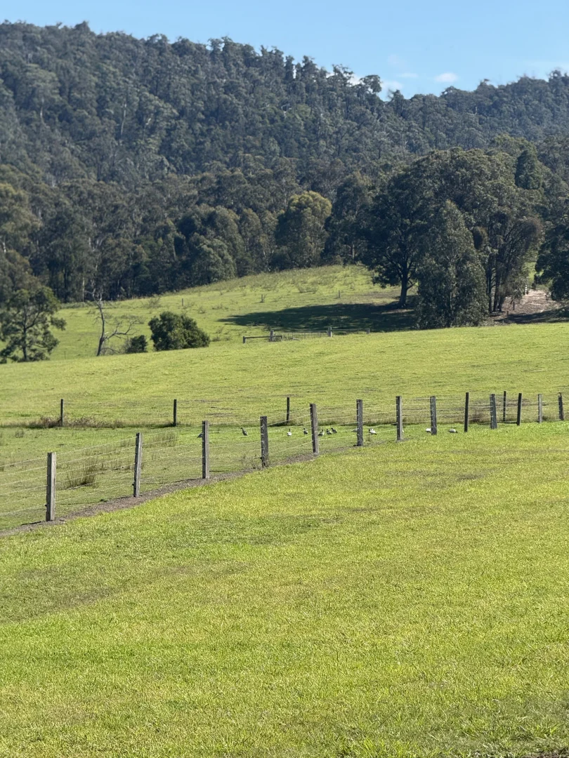 Additional image 11 of 54 Hilsley Court, Toongabbie VIC 3856