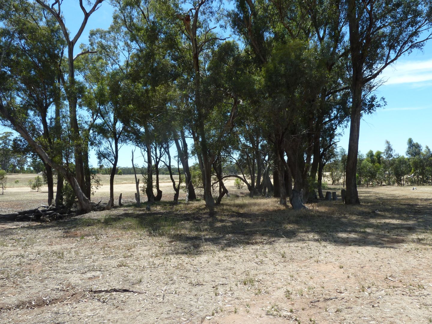 CA 3 Sec 7 Cahill Road, Wedderburn VIC 3518, Image 1