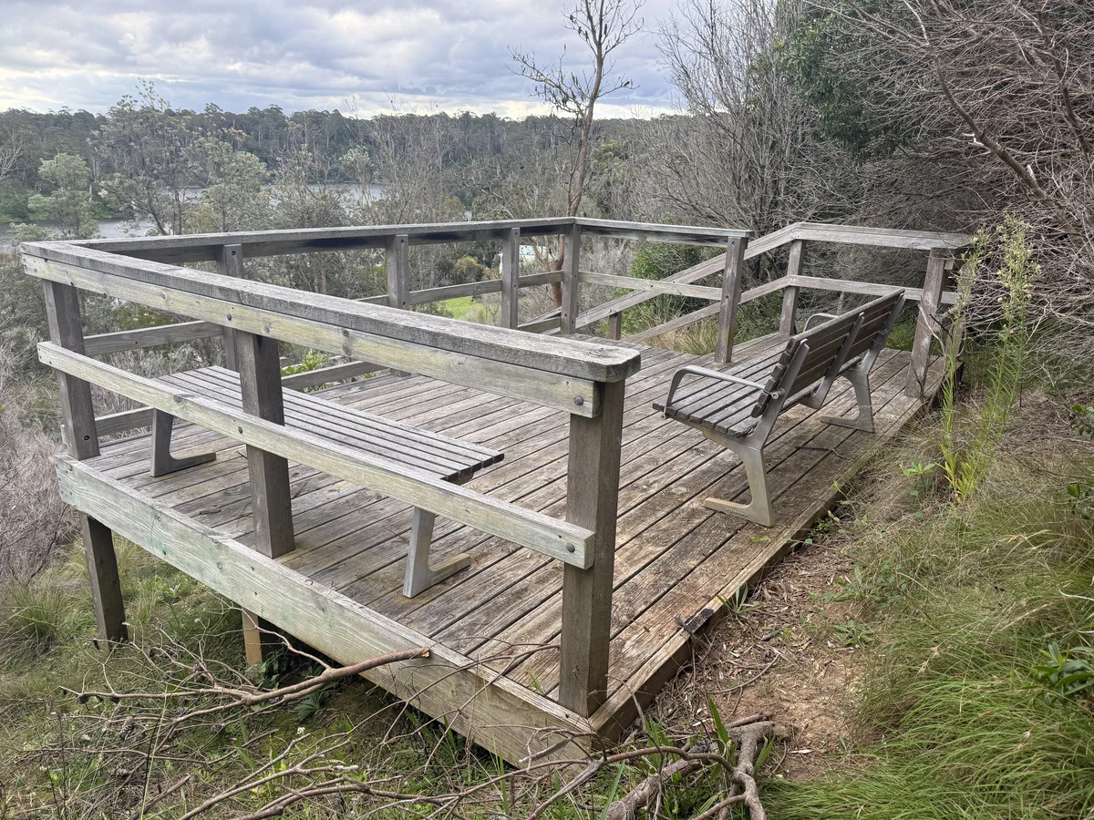 Image 12