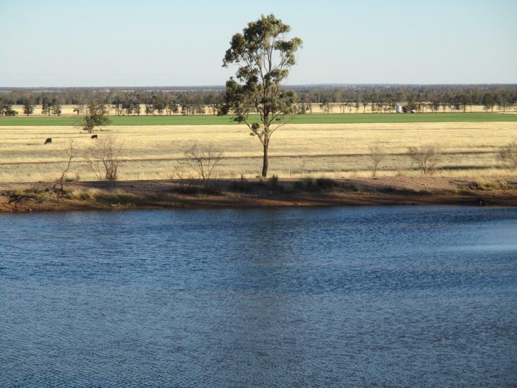 986 ACRES GRAZING & FARMING, Tara QLD 4421, Image 0