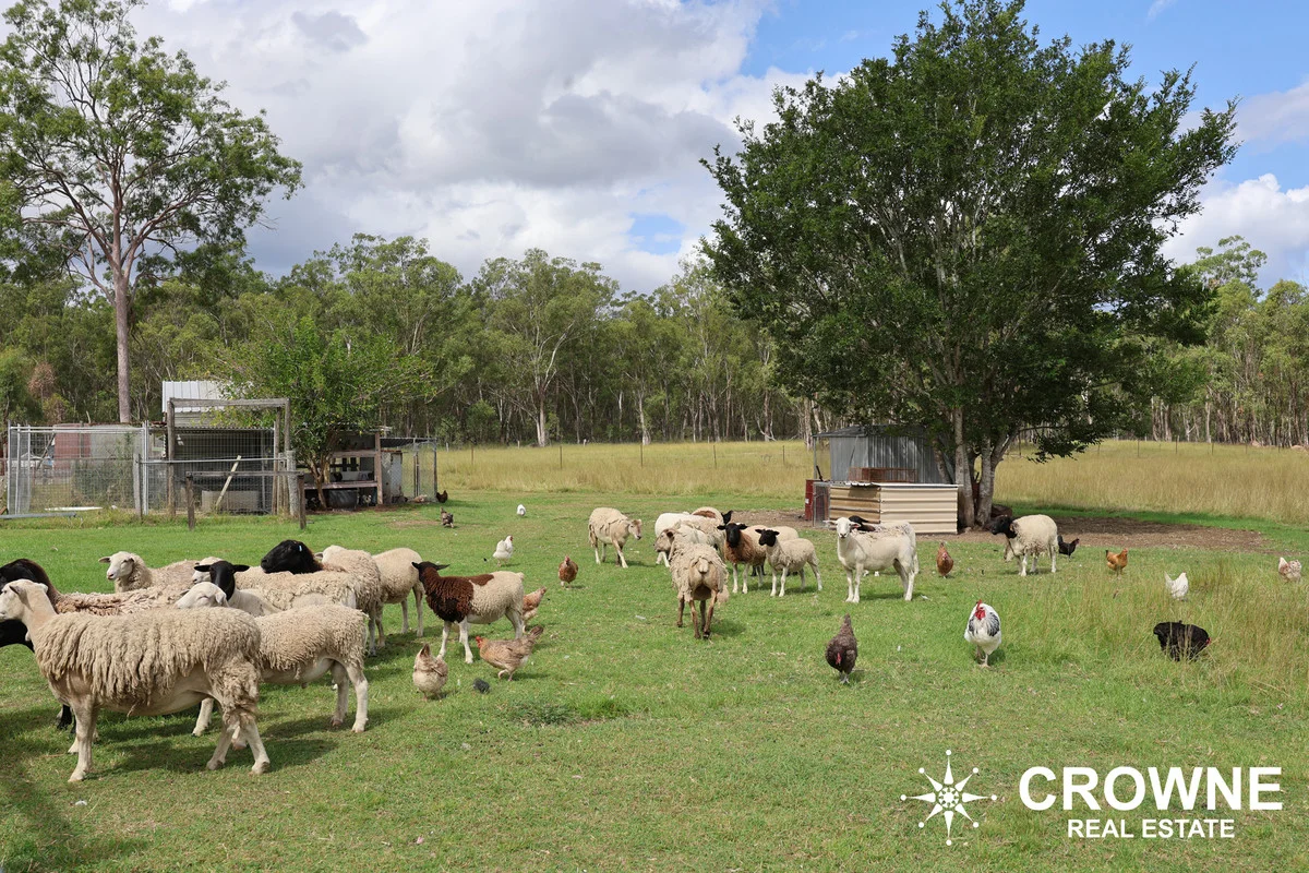 Additional image 28 of 380 Ipswich-Boonah Road, Purga QLD 4306