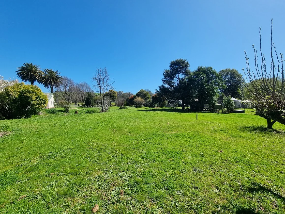 Image 19