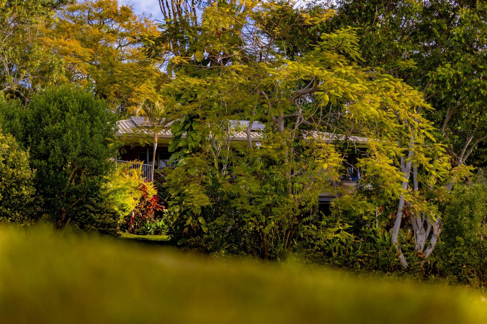 187191 Western Avenue, Montville QLD 4560 House for Sale Domain