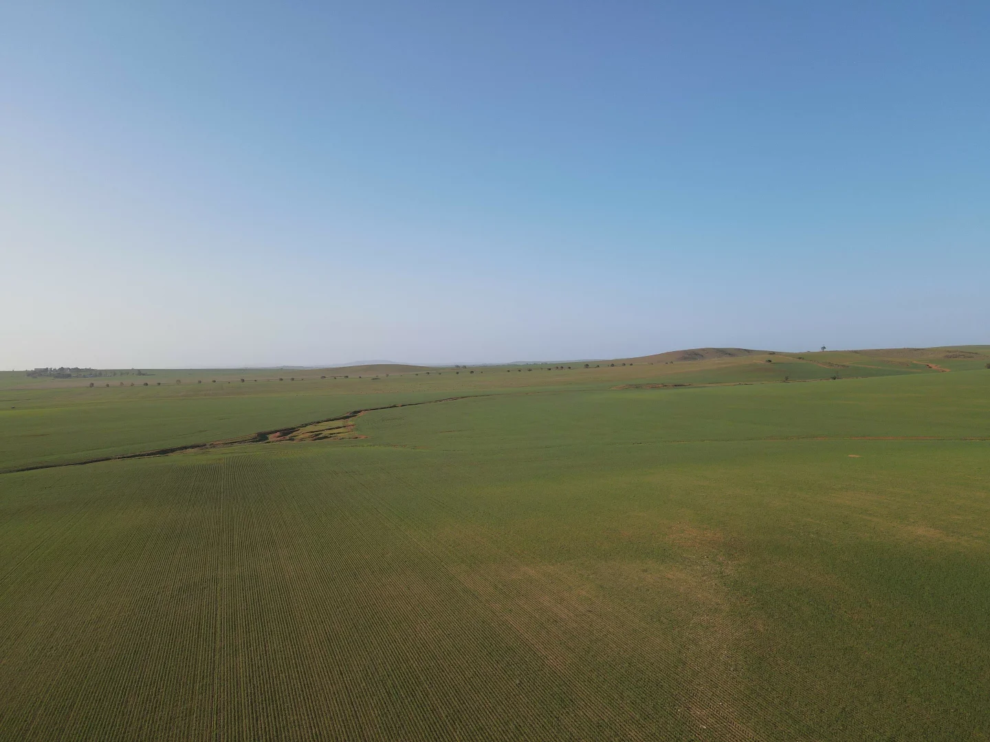 Image 15