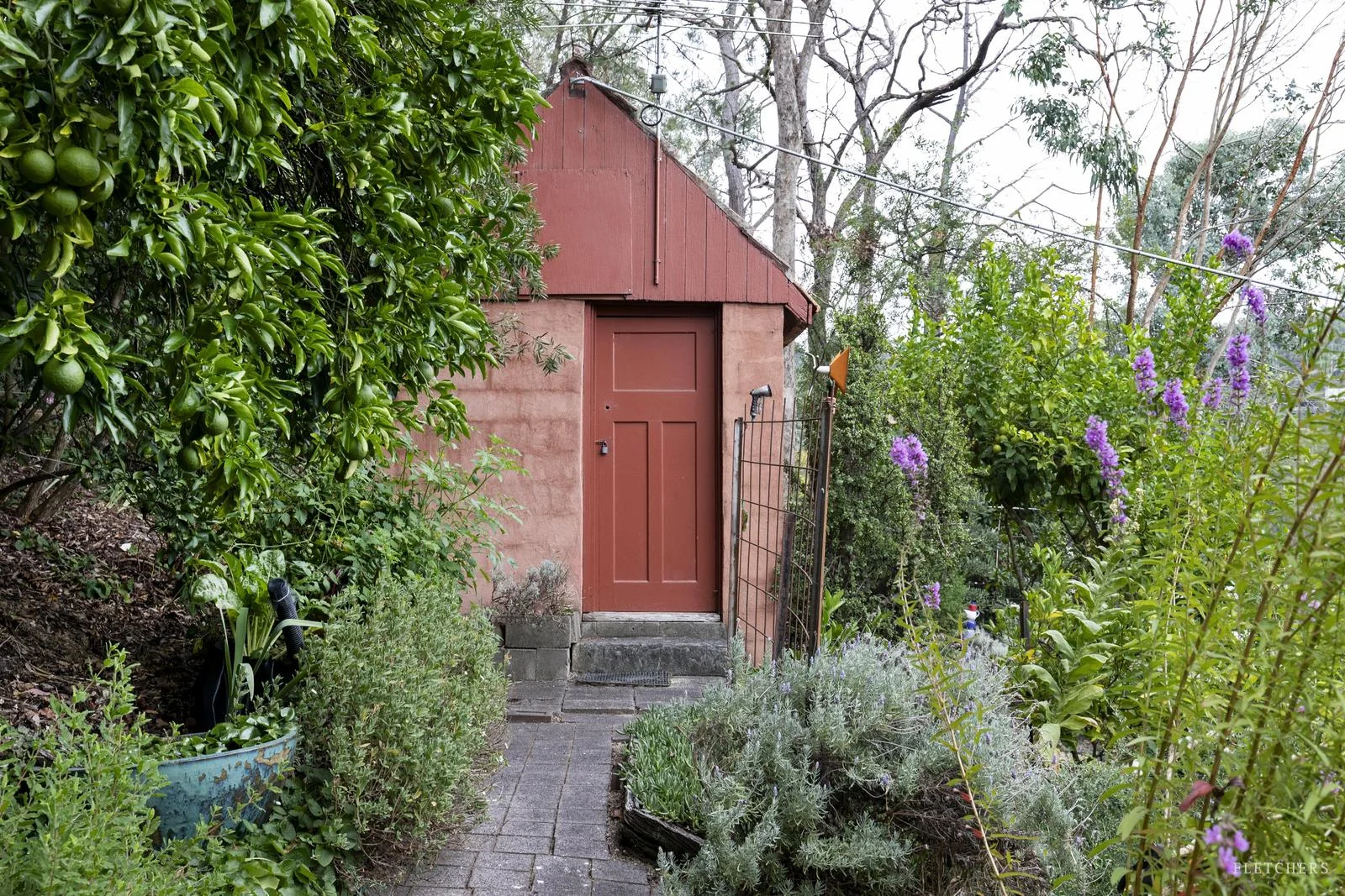 Image 24