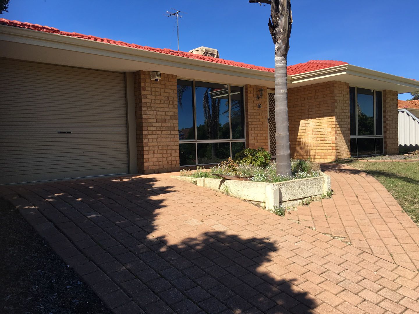 56 Carberry Square, Clarkson WA 6030, Image 1