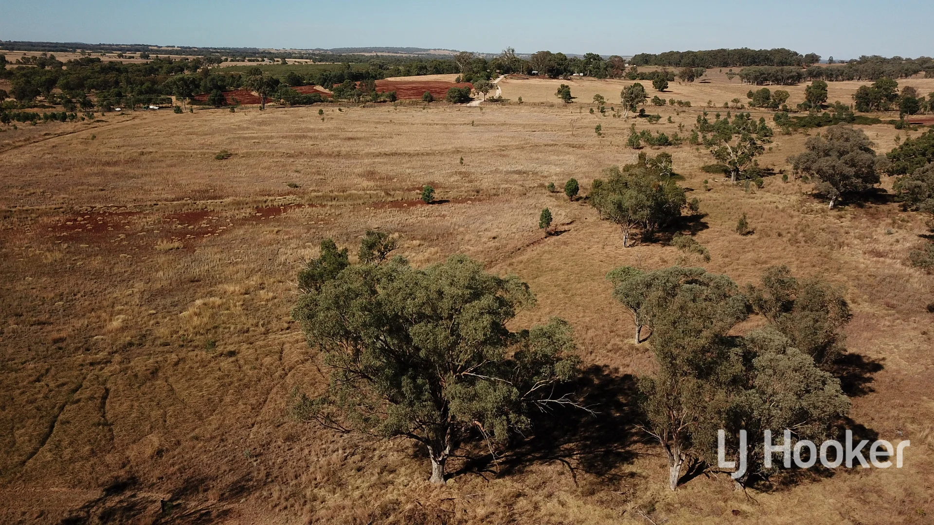 Additional image 19 of Gwydir Highway, Inverell NSW 2360