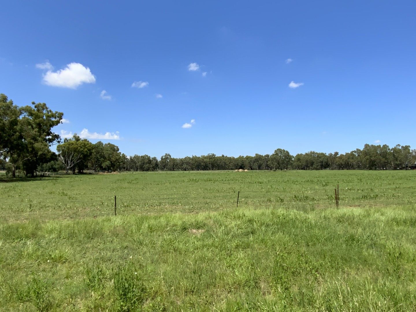 224 Warrul Road, Forbes NSW 2871, Image 0