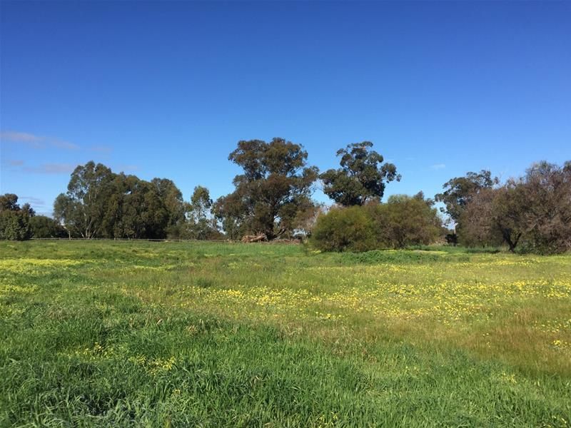 Lot 161 James Eden Drive, West Pinjarra WA 6208, Image 2