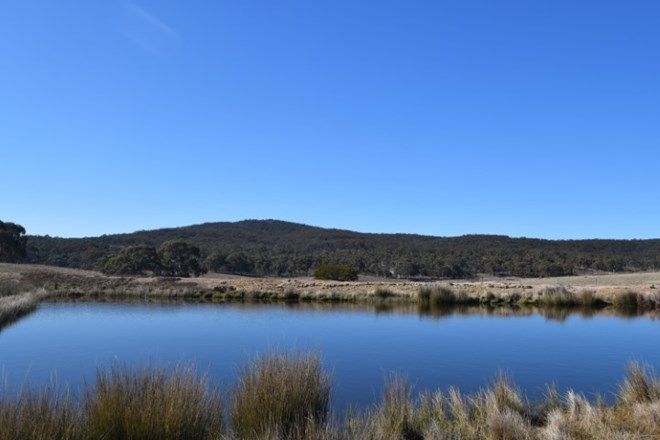 Picture of Stage 3 Marian Vale, BOXERS CREEK NSW 2580