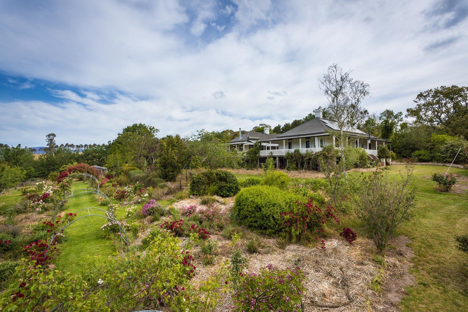 3219 Towamba Rd, Bega NSW 2550, Image 1