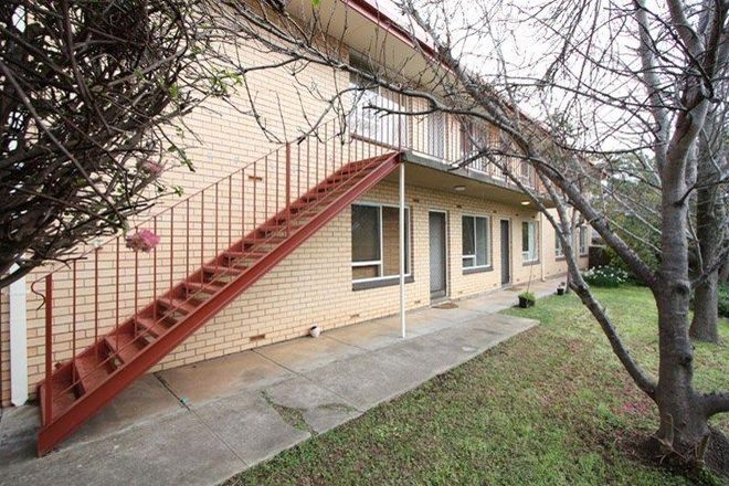 Picture of 2/12 Lawn Street, PANORAMA SA 5041