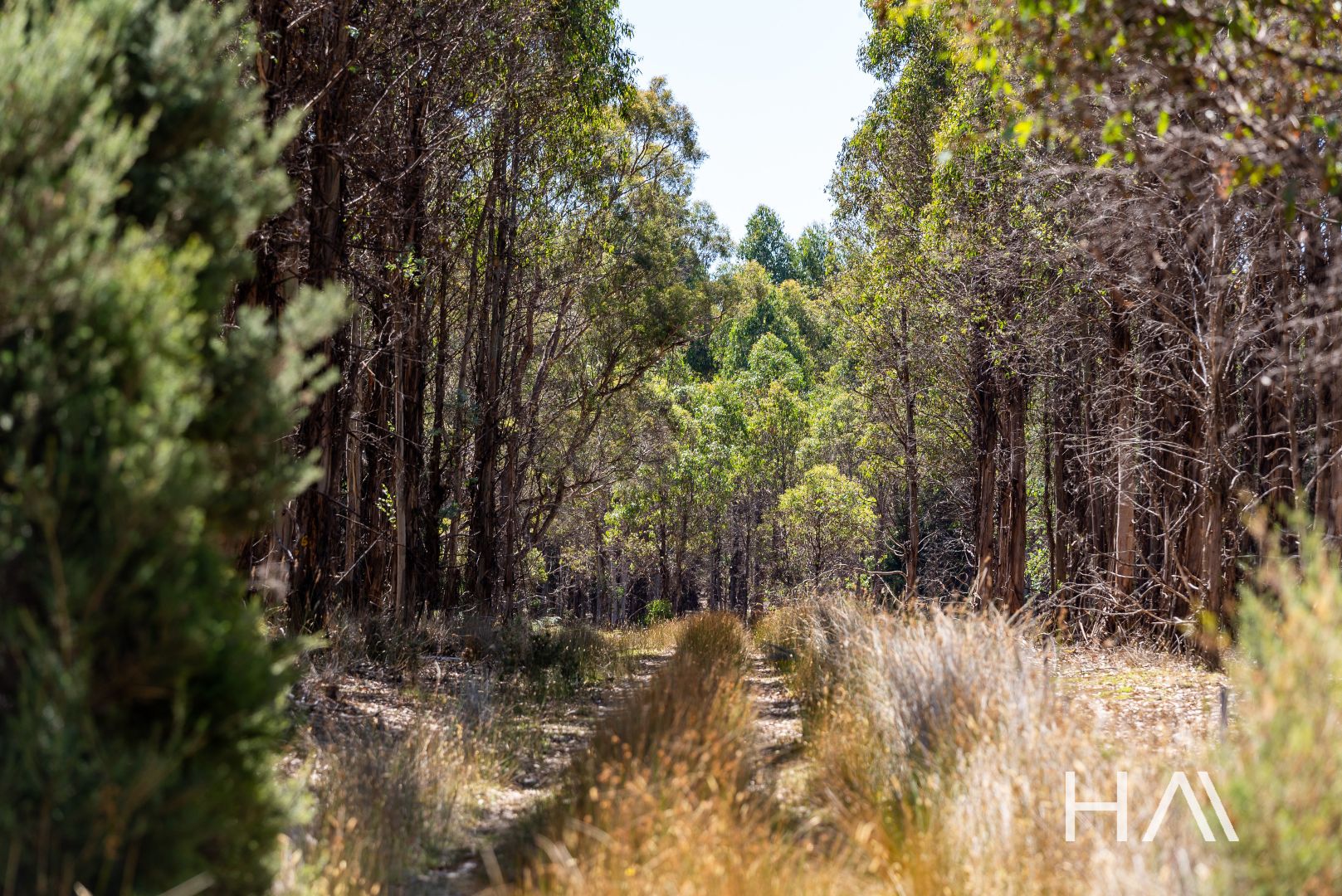 Lot 2 Bridport Road, Pipers River TAS 7252 House for Sale Domain