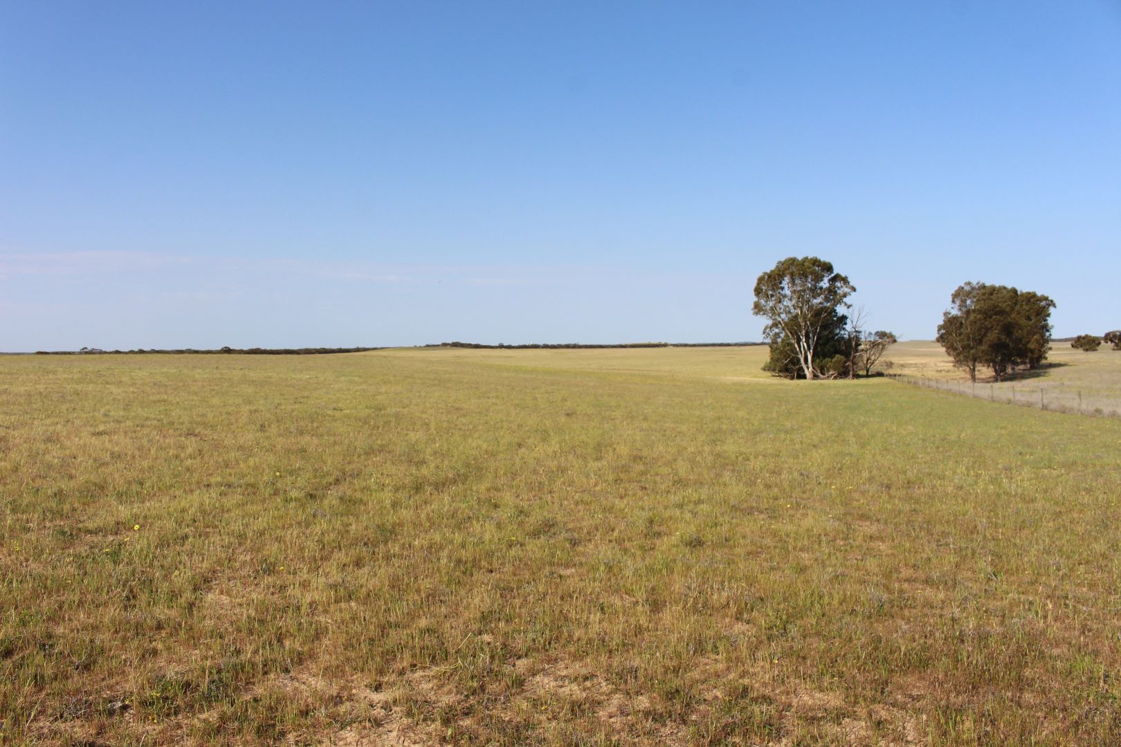 Lameroo SA 5302, Image 1