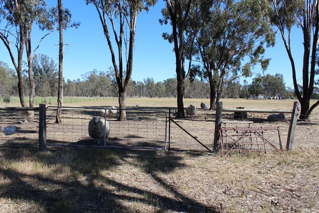 49 Diviny Lane, Euroa VIC 3666, Image 0