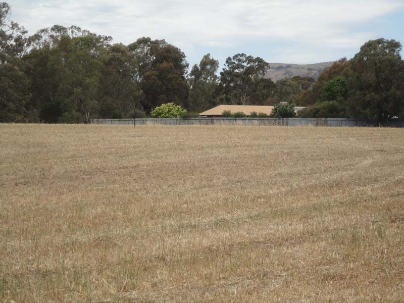 Lot 5 McDiarmids Road, Violet Town VIC 3669, Image 2