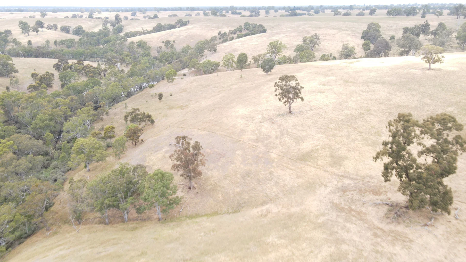 Additional image 31 of 596 Mostyn Lane, Balmoral VIC 3407