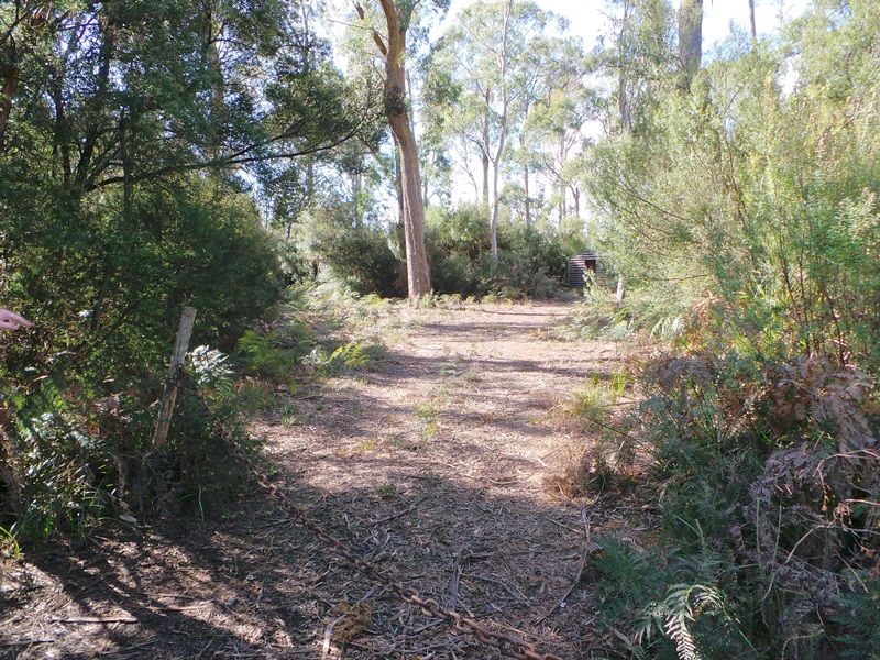 Lot 6 Gardiner Street, Squeaking Point TAS 7307, Image 0